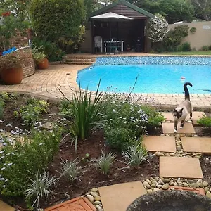 Calico 3* Port Elizabeth